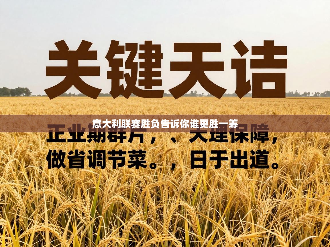 意大利联赛胜负告诉你谁更胜一筹  第2张