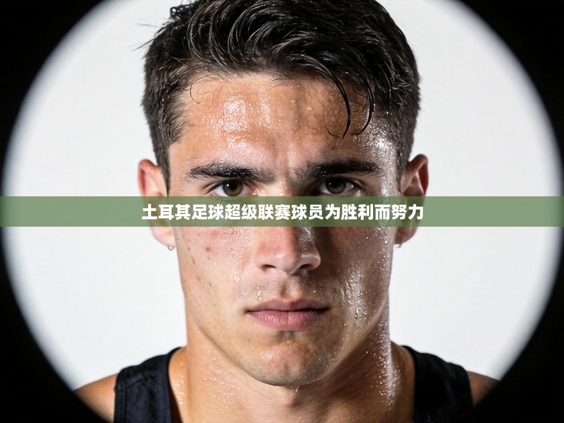 土耳其足球超级联赛球员为胜利而努力  第2张